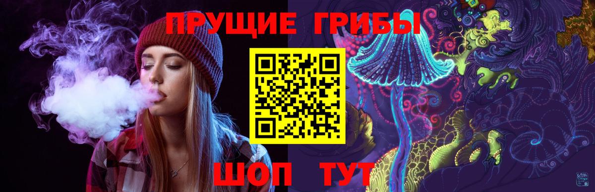 Галлюциногенные грибы Psilocybe  Вход с VPN  Качканар 